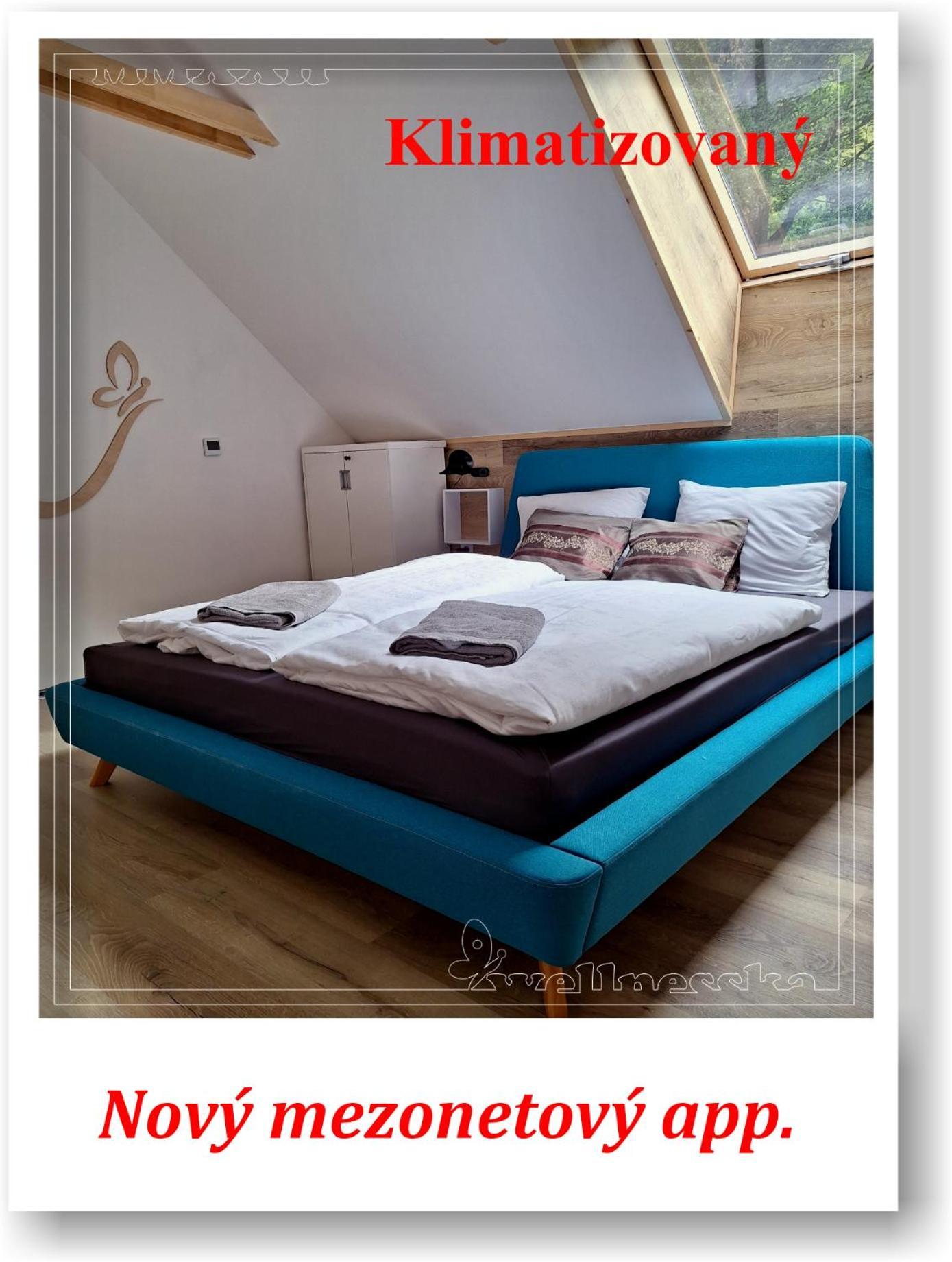 Wellnesska Vyhne Villa Eksteriør billede